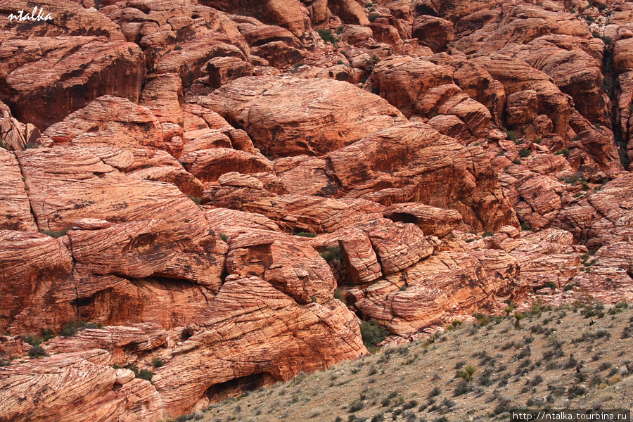 Red Rock Canyon Ред-Рок-Каньон Природоохранная Территория, CША