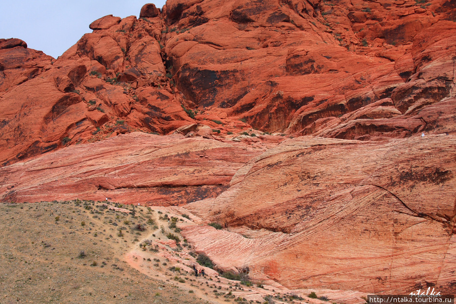 Red Rock Canyon Ред-Рок-Каньон Природоохранная Территория, CША