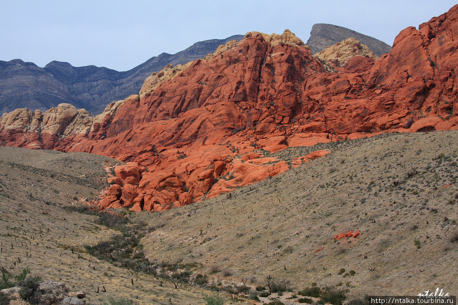 Red Rock Canyon Ред-Рок-Каньон Природоохранная Территория, CША