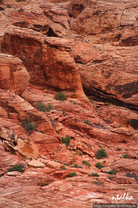 Red Rock Canyon Ред-Рок-Каньон Природоохранная Территория, CША