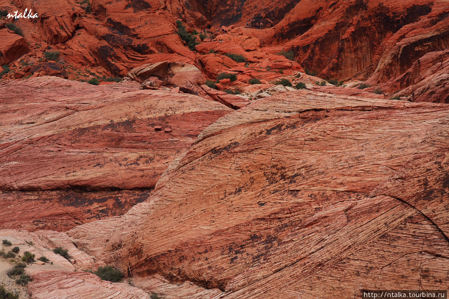 Red Rock Canyon Ред-Рок-Каньон Природоохранная Территория, CША