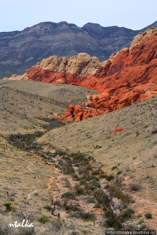 Red Rock Canyon Ред-Рок-Каньон Природоохранная Территория, CША