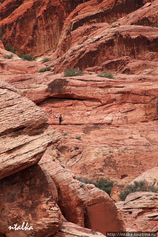 Red Rock Canyon Ред-Рок-Каньон Природоохранная Территория, CША