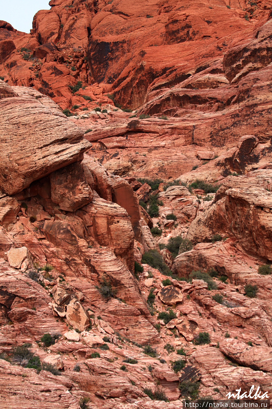 Red Rock Canyon Ред-Рок-Каньон Природоохранная Территория, CША