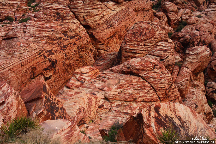 Red Rock Canyon Ред-Рок-Каньон Природоохранная Территория, CША