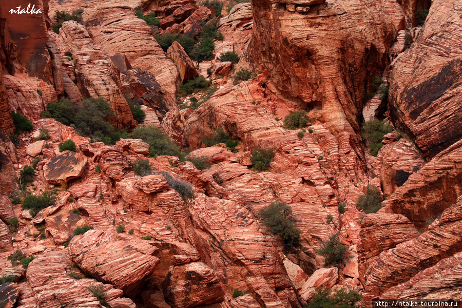 Red Rock Canyon Ред-Рок-Каньон Природоохранная Территория, CША