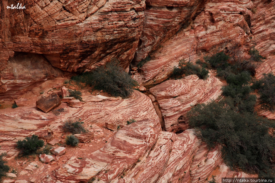 Red Rock Canyon Ред-Рок-Каньон Природоохранная Территория, CША