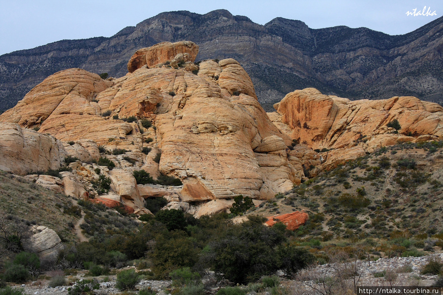 Red Rock Canyon Ред-Рок-Каньон Природоохранная Территория, CША