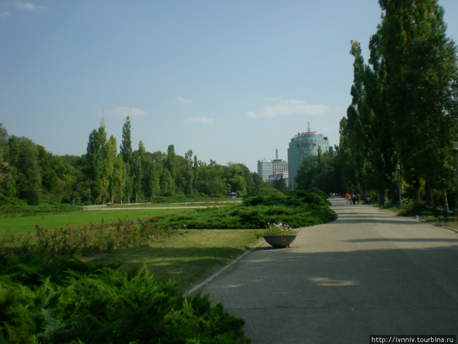 Парк Бухарест, Румыния