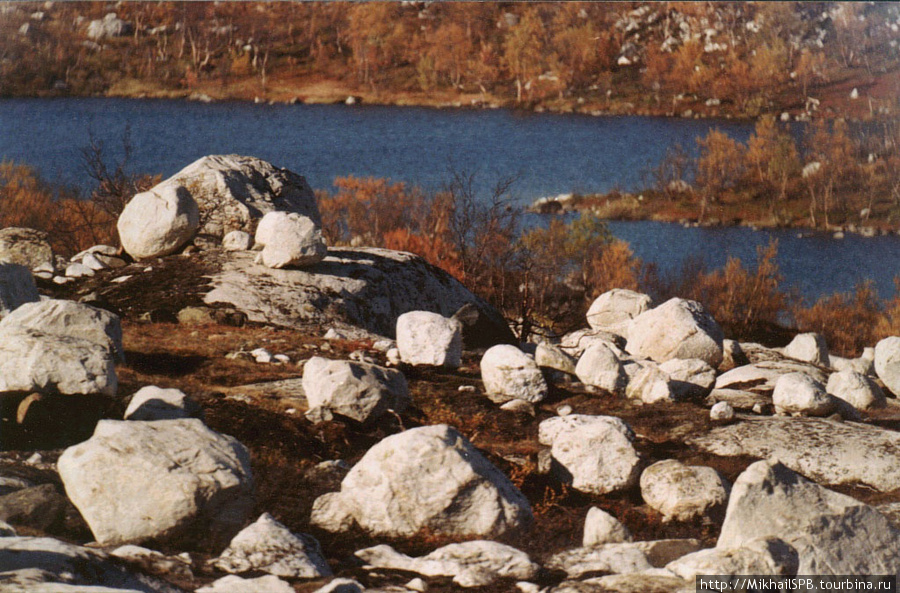Бараний лоб у озера семеновское