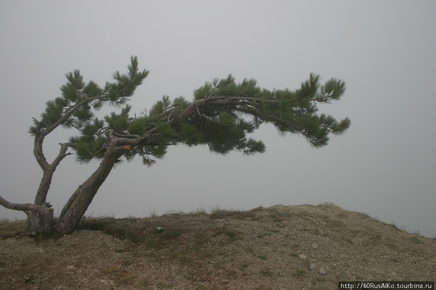 2010 Сентябрь. Ялта - Канатная дорога на Ай-Петри и вершина Ялта, Россия