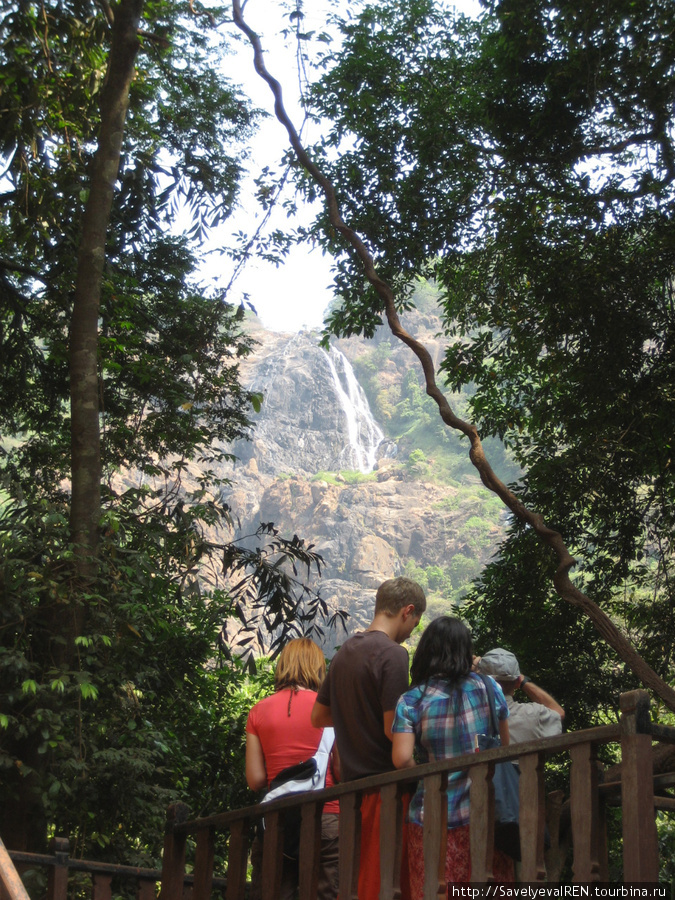 Водопад издалека в раме живой природы. Штат Гоа, Индия