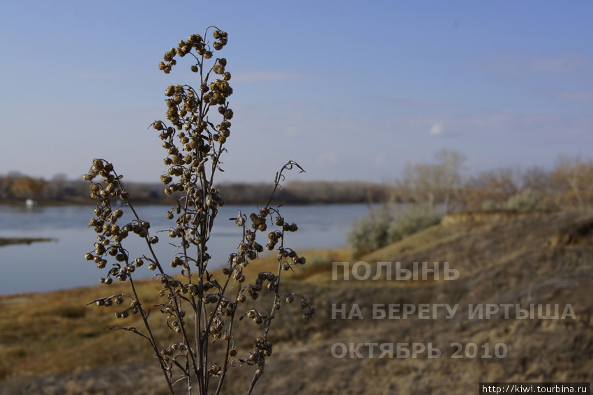 Омск. Ломать - не строить. Строить - не ломать! Омск, Россия