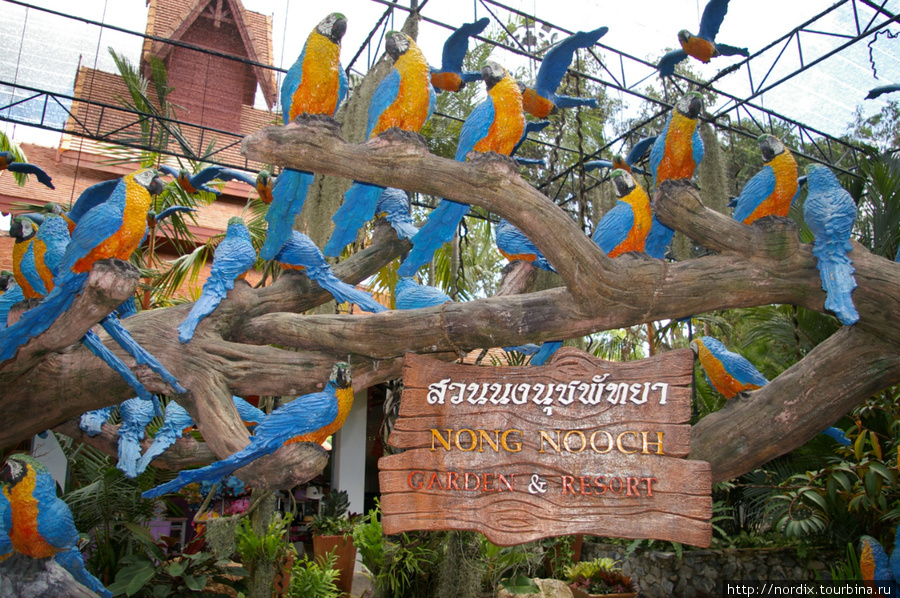 Не только для ботаников Паттайя, Таиланд