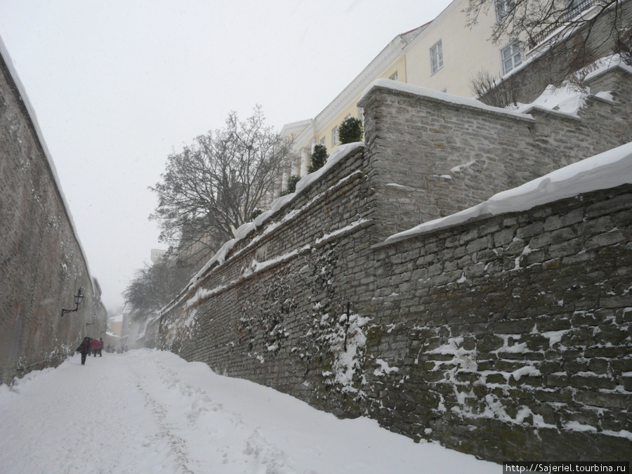 Крепостные стены Таллинна Таллин, Эстония