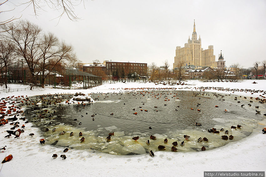 Московский зоопарк зимой Москва, Россия