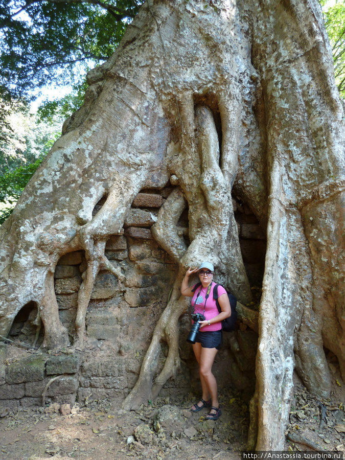 Бапхуон, Пименакас, Терраса Слонов -гуляем по Ангкор Тому Ангкор (столица государства кхмеров), Камбоджа