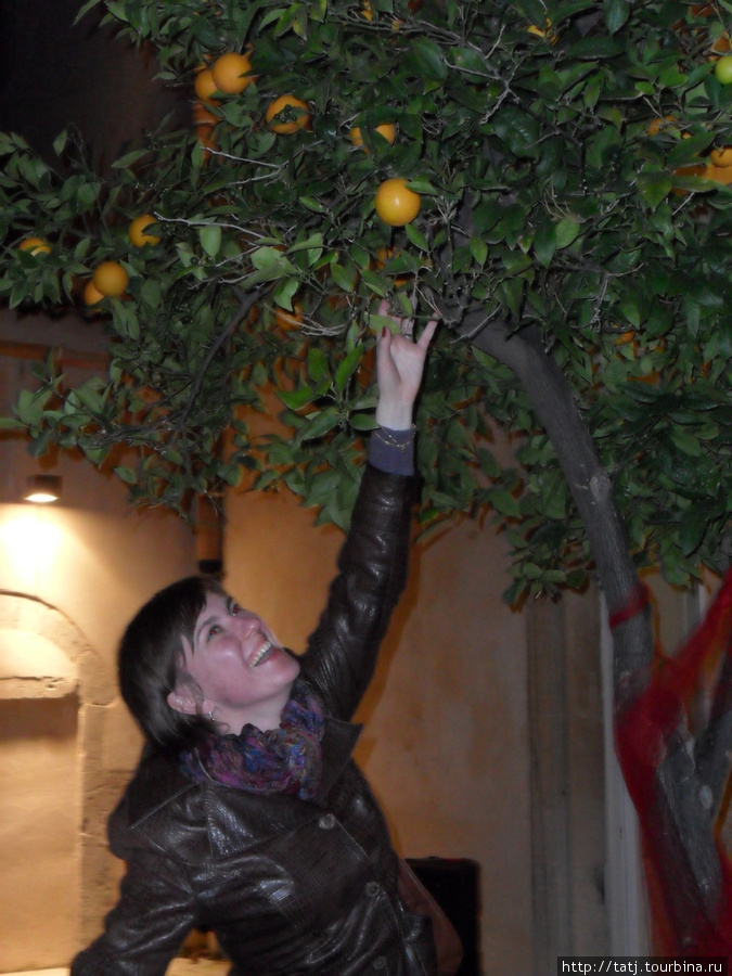 Солнечная и апельсиновая сицилия Сицилия, Италия