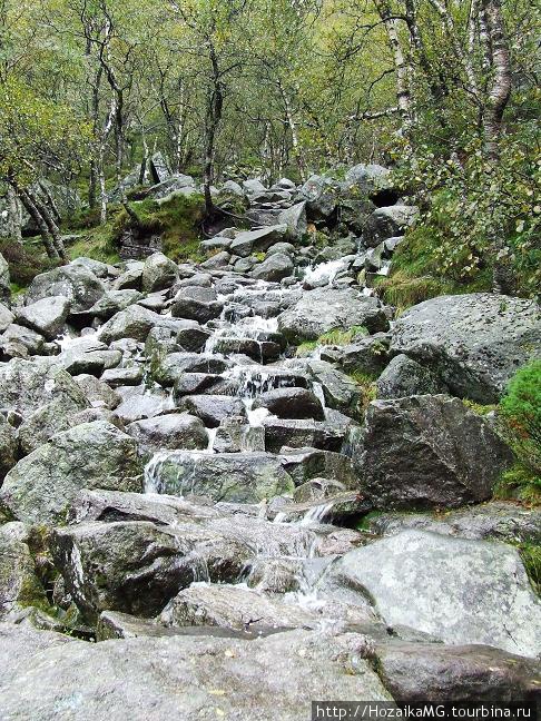 Вода по камням стекала ручьями... Норвегия