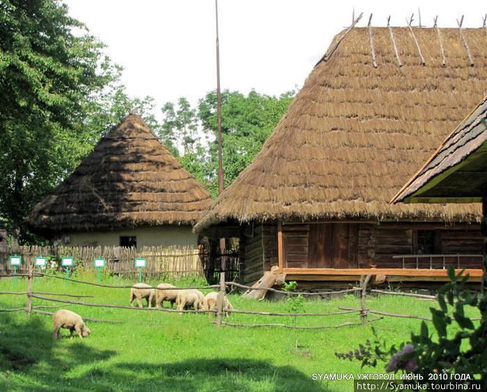 Овцеводство — традиционное занятие для румын Закарпатья. Ужгород, Украина