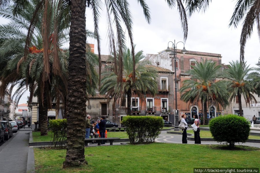 маленькая площадь с пальмами и фонтаном в центре Катания, Италия
