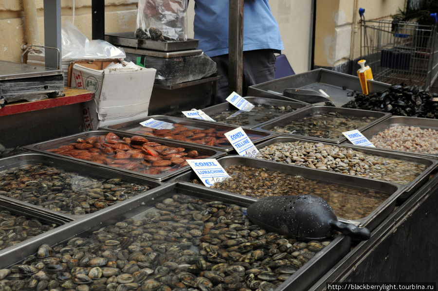 Зеленоградск рыбный. Катания Италия рыбный рынок. Зеленоградск рыбный рынок. Рыбный рынок Владивосток. Гаспра рыбный рынок.
