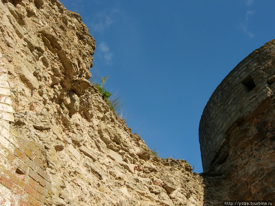 Средневековая крепость Копорье
