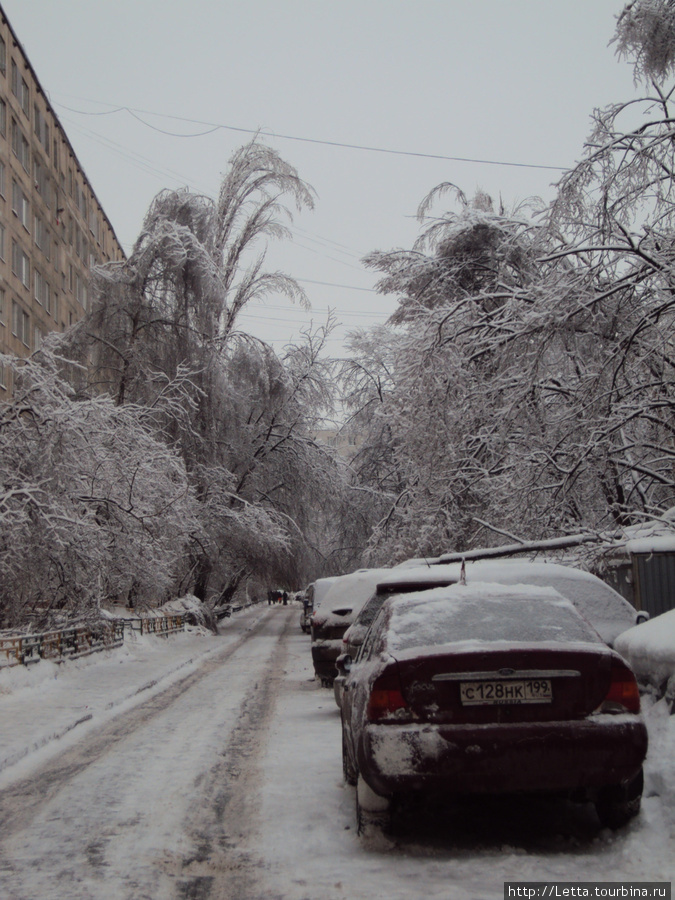 Новогодняя Москва Москва, Россия