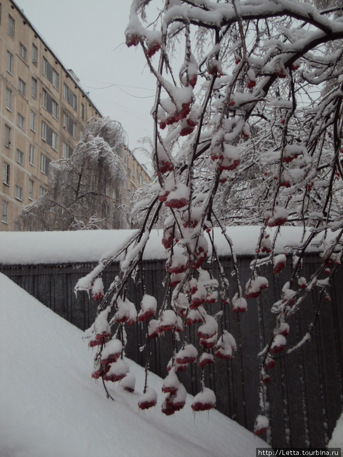 Новогодняя Москва Москва, Россия