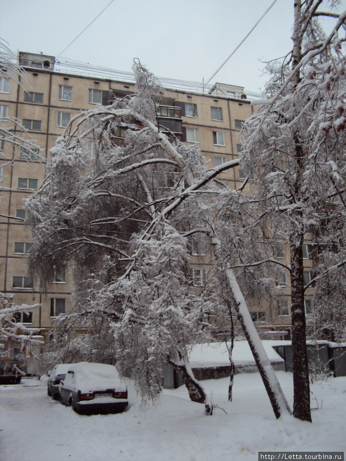 Новогодняя Москва Москва, Россия