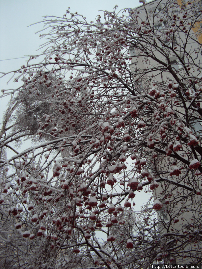 Новогодняя Москва Москва, Россия