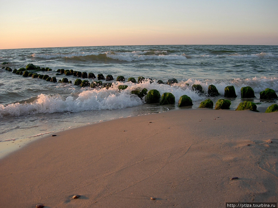Островок зеленоградск. Балтийское море Зеленоградск. Балтийское море Зеленоградск осень. Балтийское море Зеленоградск июнь. Берег Балтийского моря Зеленоградск.