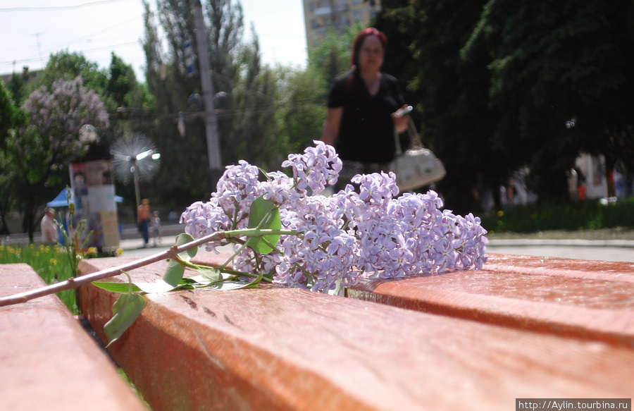 Прогулки по Твери Тверь, Россия