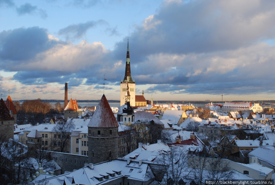 Зимний Таллинн Таллин, Эстония