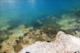 прозрачность воды в Голубом озере составляет 18 метров, цвет зависит от чистоты и отражения солнечных лучей