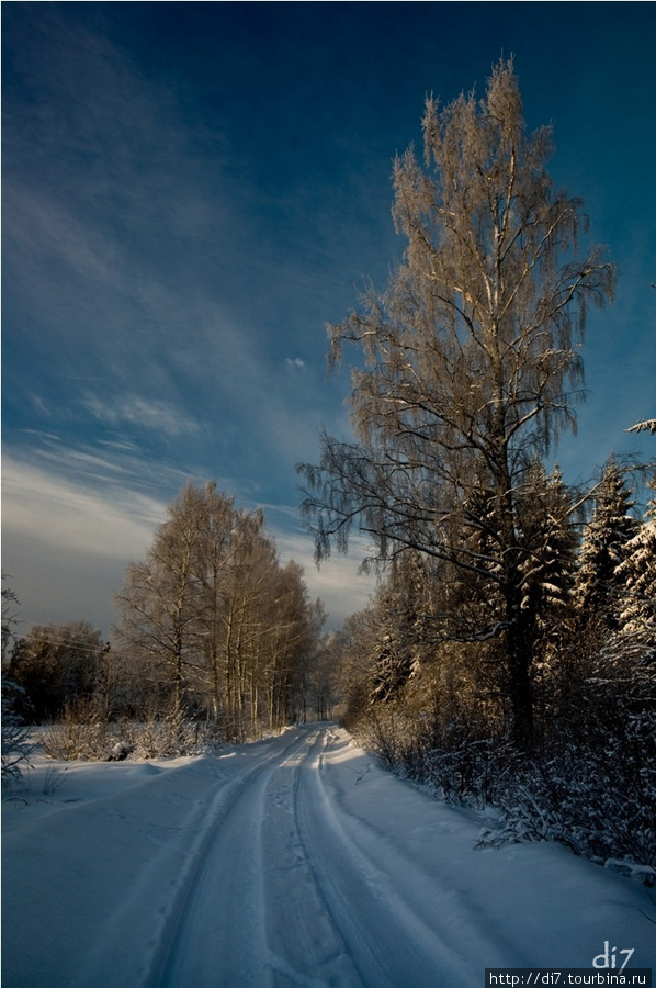 Окрестности Луги, зимняя разведка Луга, Россия