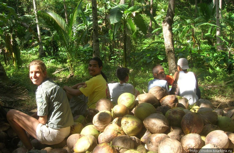 Кокосовый привал Остров Боракай, Филиппины
