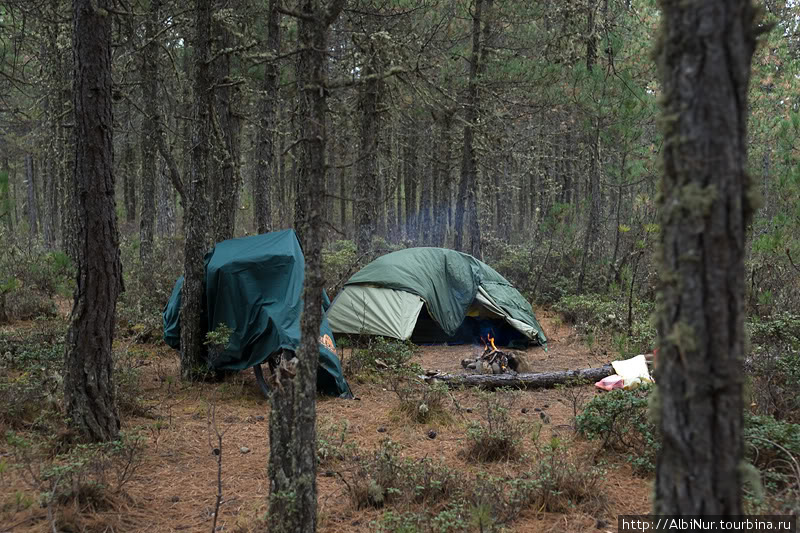 Из Шангрилы к Ущелью Прыгающего Тигра Провинция Юньнань, Китай