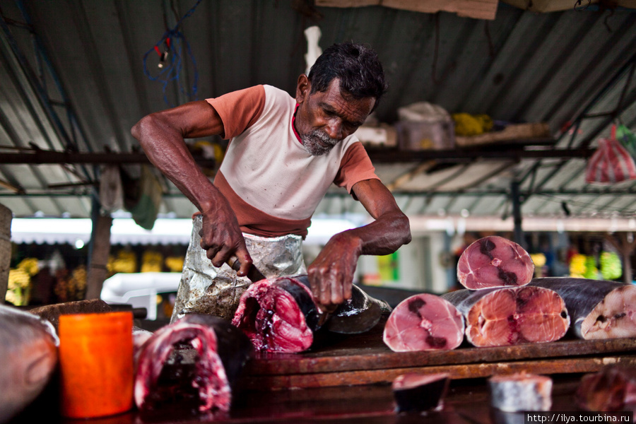 Свежий тунец должен иметь такой холодный розовый цвет. Потом он начинает желтеть и белеть, это уже не свежее мясо. Шри-Ланка