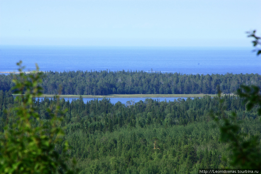 Соловецкий рай. июль 2010 Соловецкие острова, Россия