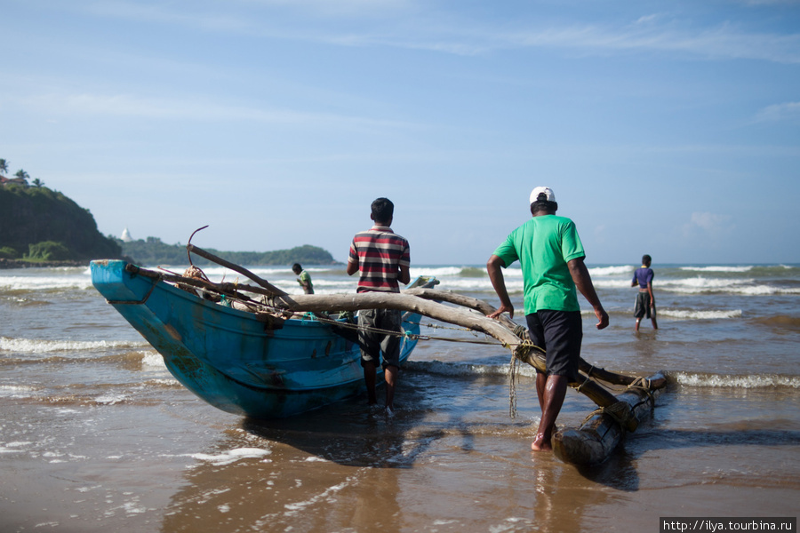 Еще по утрам на побережье можно увидеть как рыбаки вытягивают после ночной рыбалки сеть с мелкой рыбой, типа кильки. Шри-Ланка