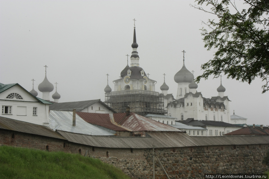 Соловецкий рай. июль 2010 Соловецкие острова, Россия