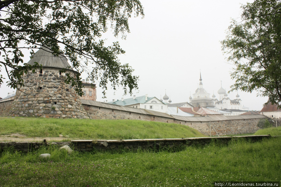 Соловецкий рай. июль 2010 Соловецкие острова, Россия