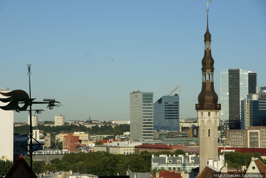 Таллинн и остров Сааремаа Эстония