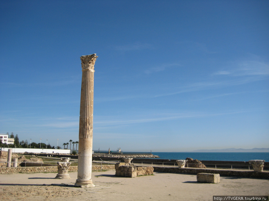 Карфаген Тунис
