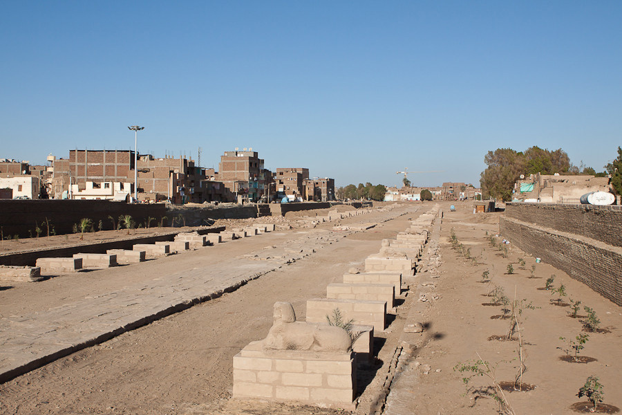 Алею выкапывают практически до Карнакского храма Луксор, Египет
