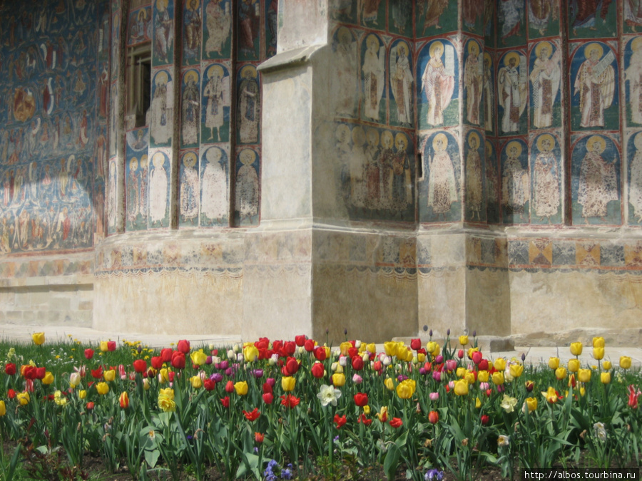Монастырь Воронец Воронец, Румыния