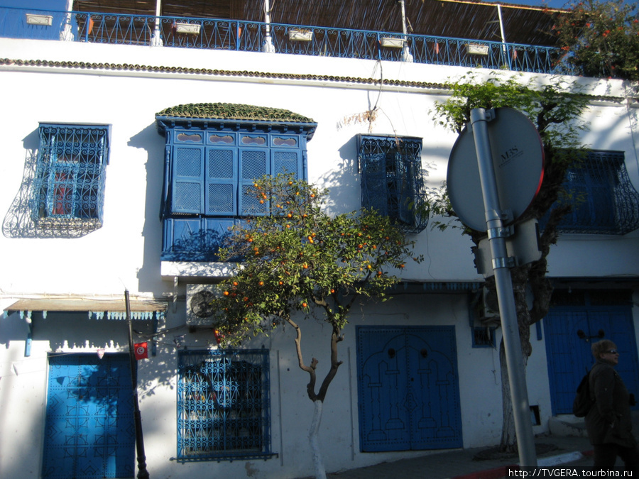 Голубые двери,голубые балконы Сиди-Бу-Саида. Ну почти как на о. Санторини -обломке Атлантиды. Тунис