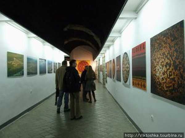 Арт-галерея Дзига