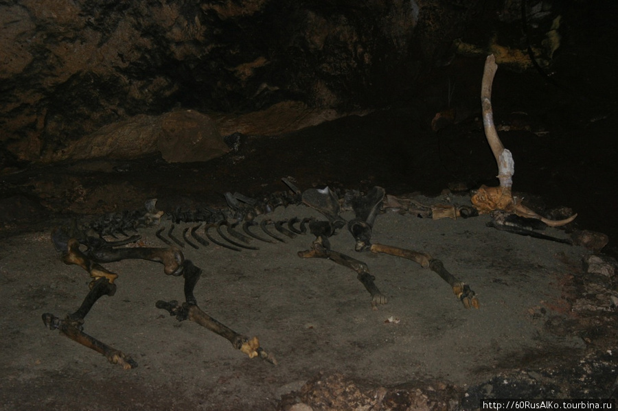Октябрь 2010 - Крым/ пещера Эмине-Баир Хосар Симферополь, Россия